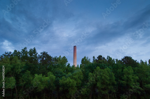 A 750-foot smokestack rises over the trees at Georgia Power's Plant Hammond in Rome, Georgia. photo