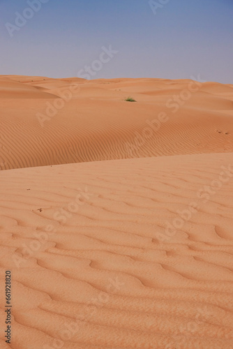 Valleys of desert dunes with waves of orange sand. Oman.