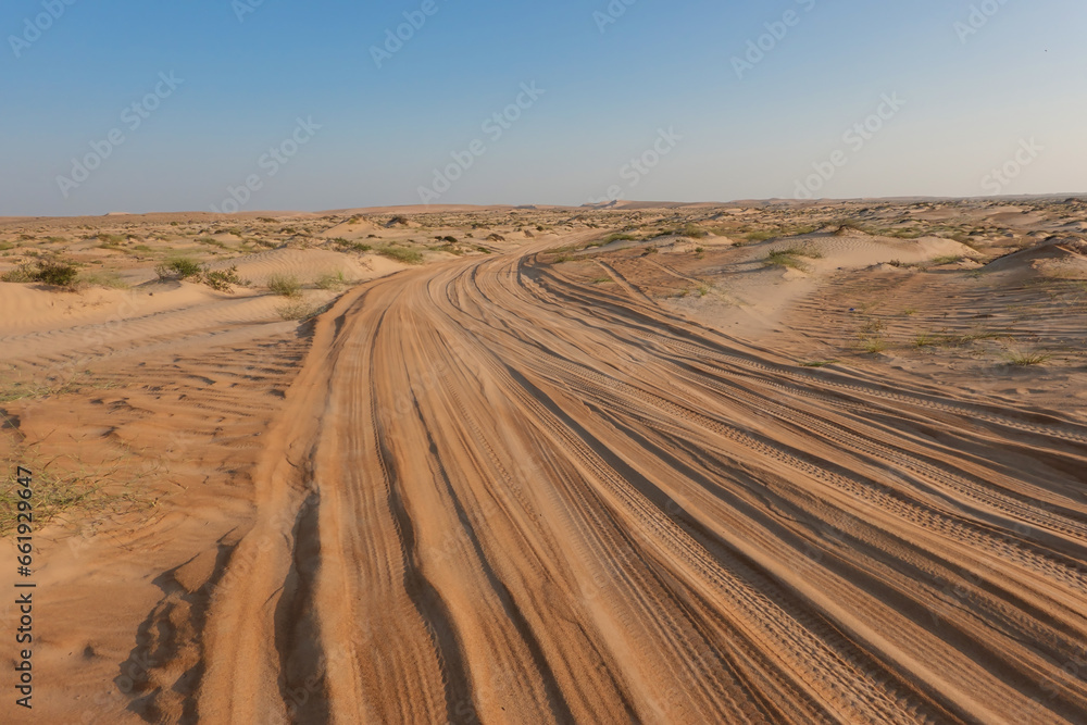 Tyre tracks on the golden sand of the Rub Al Khali desert.