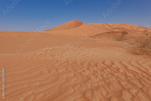 A red dune in the distance with a circular shape against the backdrop of a blue sky and in the foreground the undulating sandy expanse of the Rub al Khali desert. Oman