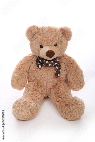 Classic teddy bear isolated on a white background.