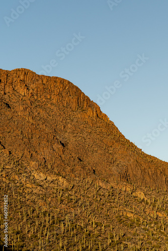 Landscape in the Arizona desert