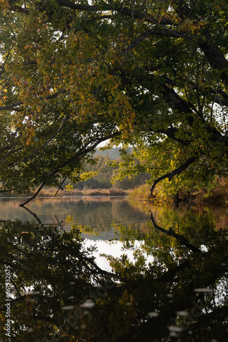 Autumn in the forest on a lake
