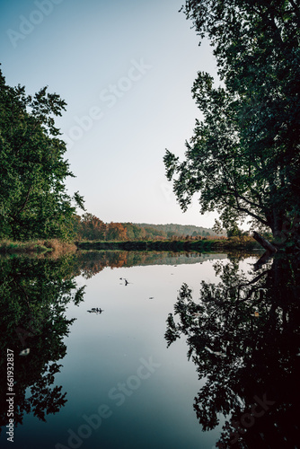 Autumn reflection of trees in the lake