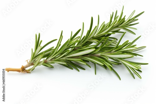 A plain-white backdrop with a single cluster of fragrant rosemary leaves. Generative AI