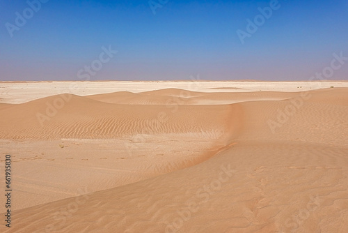 Small golden curivilinear desert dunes with undulating sand and a limestone expanse. Oman.