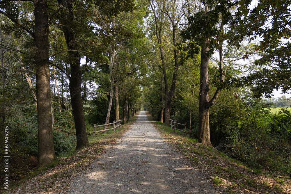 strada di campagna