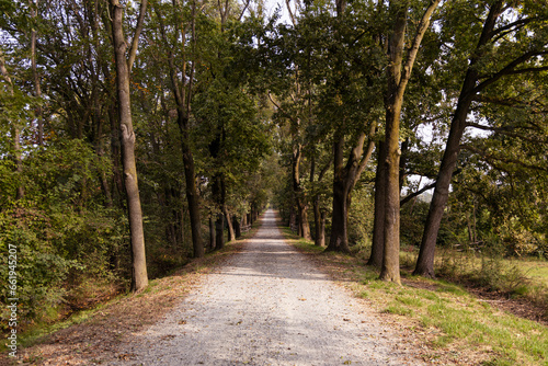 strada di campagna