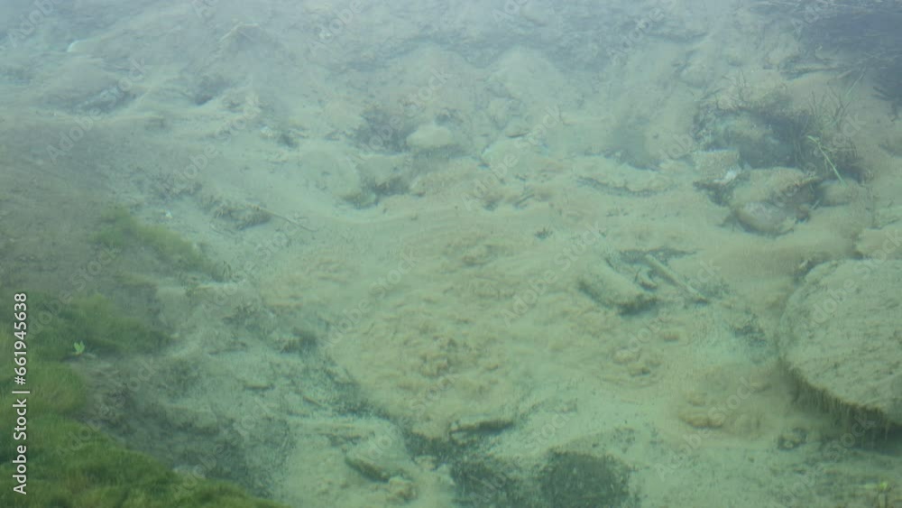 Streams of spring water bubbling in the sand of a pond Streams of spring water bubbling in the sand of a pond