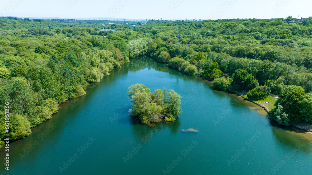 Lake and forest. Aerial view of animals swimming in the lake. A drone-captured lake and forest scenery