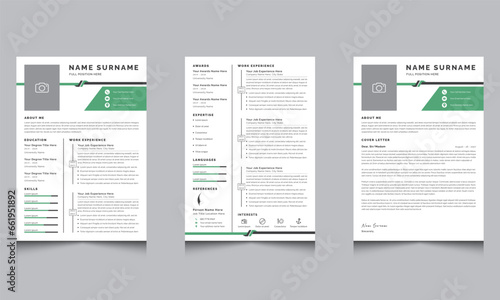 Creative Resume Vector Template And Cover Letter 