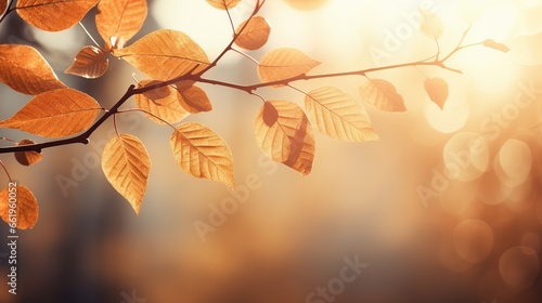 Autumn colorful bright leaves on branch tree blur background. AI generated image