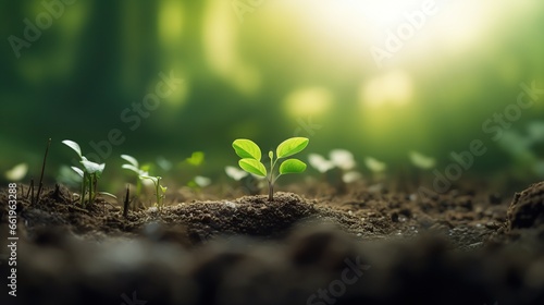 The young plant is growing from the seed blur background. AI generated image