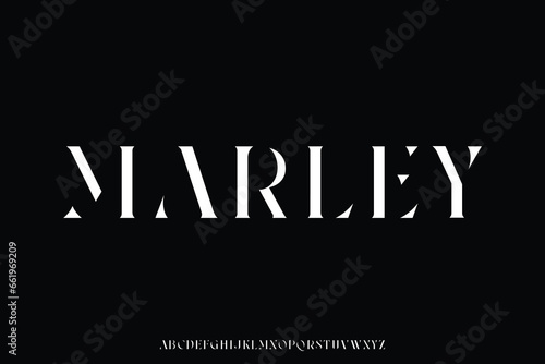 Elegant abstract serif stencil type alphabet display font vector. Beautiful unique typography style