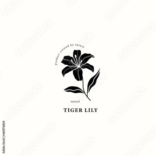 Flat vector tiger lily illustration