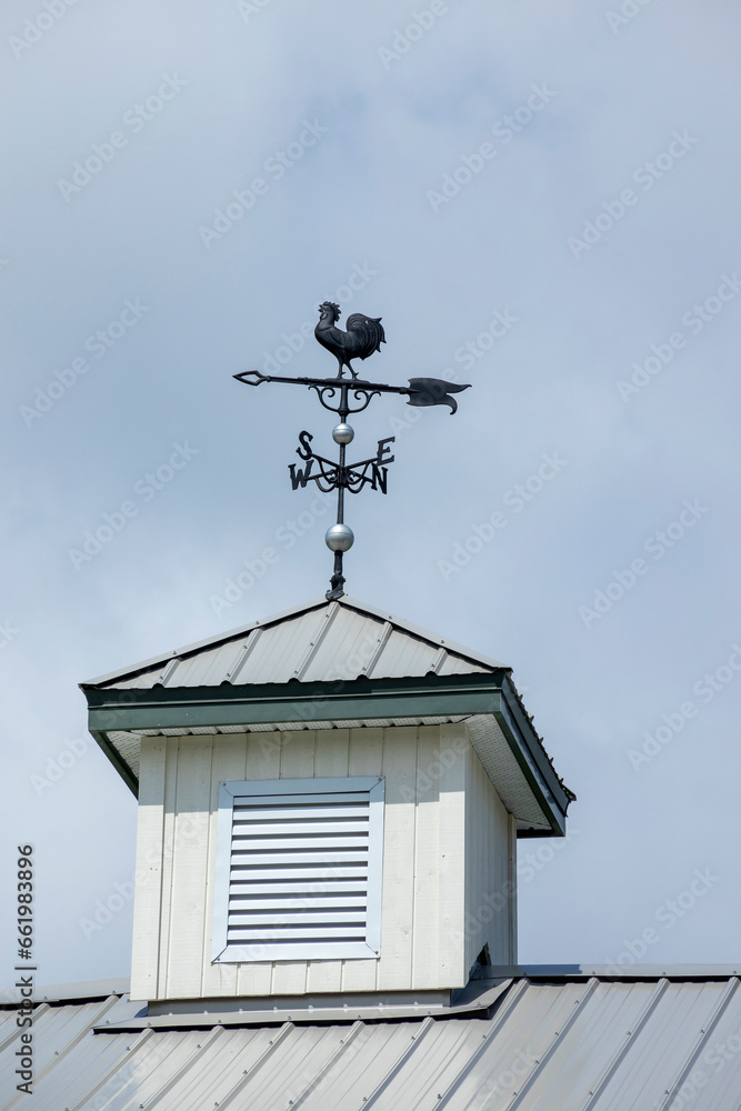 Weather vane in the shape of a rooster on the roof against the blue sky Weather vane in the shape of a rooster on the roof against the blue sky