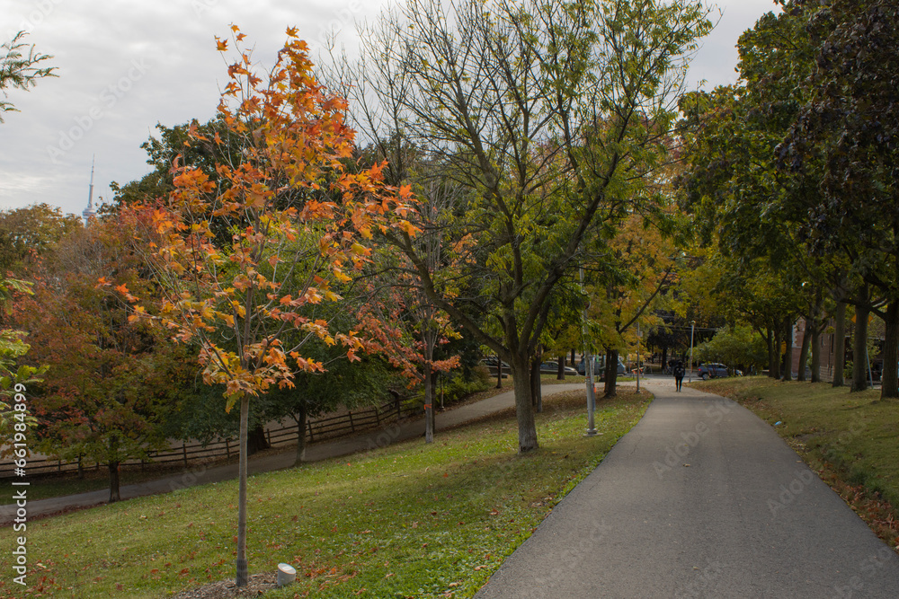 Naklejka premium The colours of fall