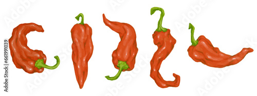 Set of red hot chili pepper pods.Vector graphics.