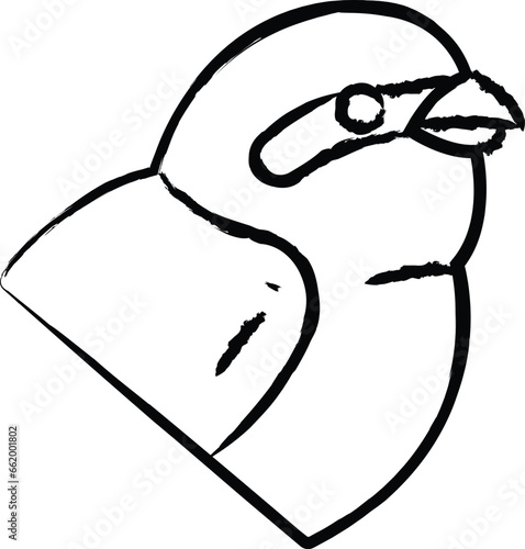 Shrike bird hand drawn vector illustration
