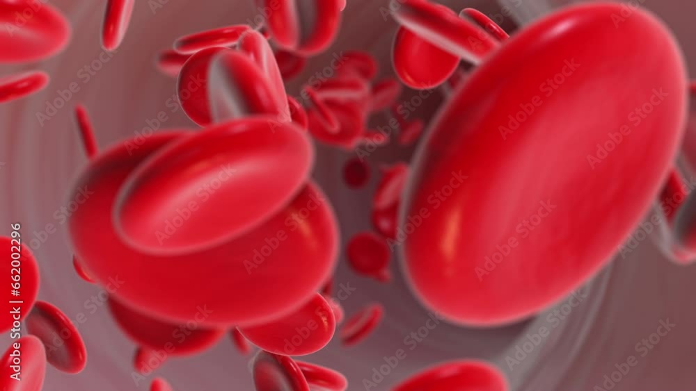Red blood cells flowing in blood vessels Red blood cells flowing in blood vessels