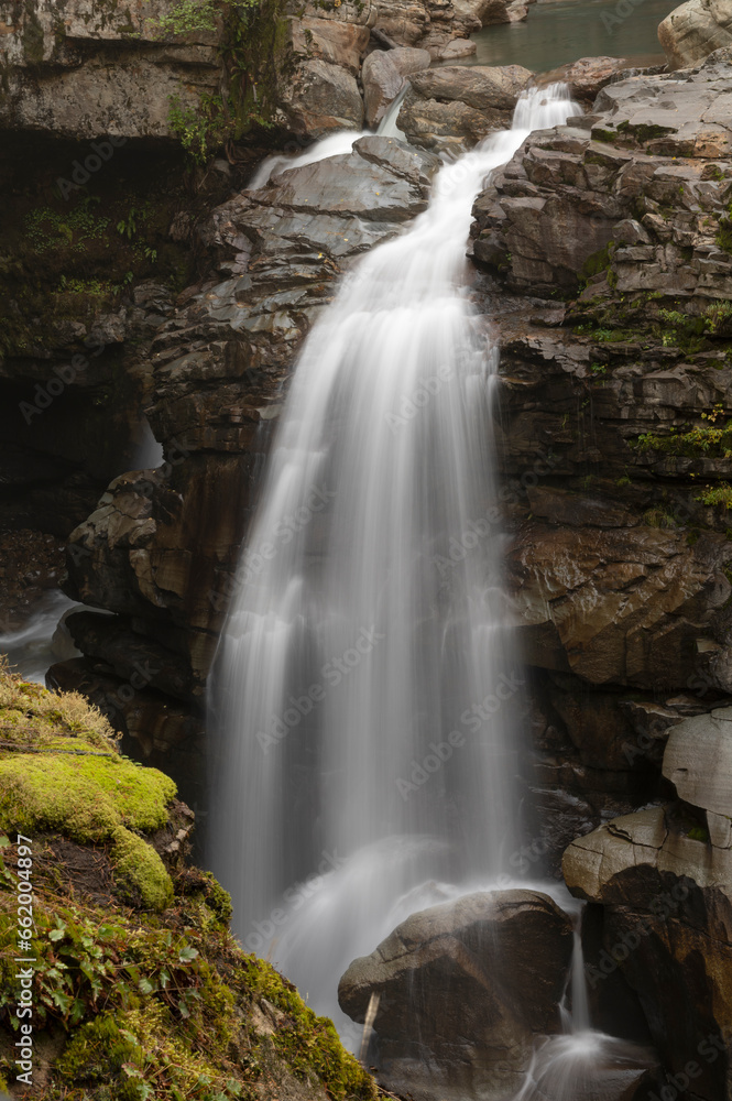 Nooksack Falls is a waterfall along the North Fork of the Nooksack River in Whatcom County, Washington. The water flows through a narrow valley and drops freely 88 feet into a deep rocky river canyon. Nooksack Falls is a waterfall along the North Fork of the Nooksack River in Whatcom County, Washington. The water flows through a narrow valley and drops freely 88 feet into a deep rocky river canyon.