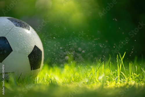 A soccer ball on the green grass.Morning workouts in nature.A ball on the wet grass in dew drops. © Svetliy