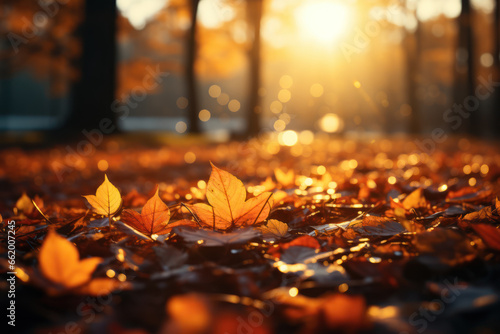 Bright  golden sunlight filtering through autumn leaves  creating a warm  inviting ambiance. Concept of autumn sunlight. Generative Ai.