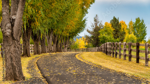 A country road surrounded by fall color in Bend Oregon during autumn.