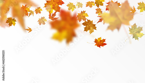 Realistic falling autumn leaves. Autumn flying orange foliage on transparent background  isolated template vector illustration