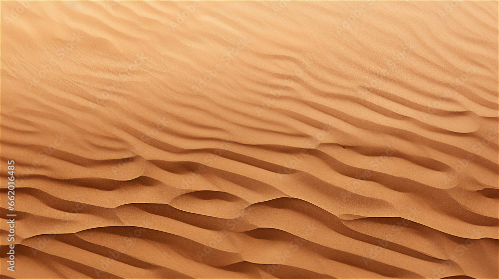 sand texture sand texture