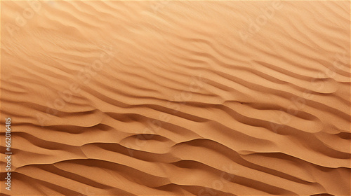 sand texture © Marcelo