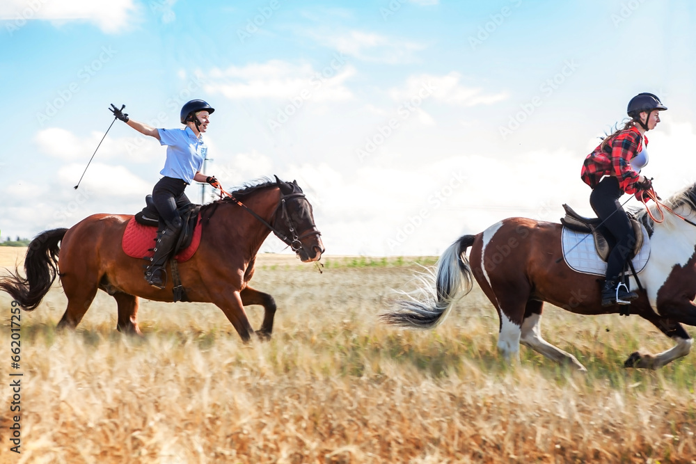 Young women equestrians gallop on horses through a field. Young women equestrians gallop on horses through a field.