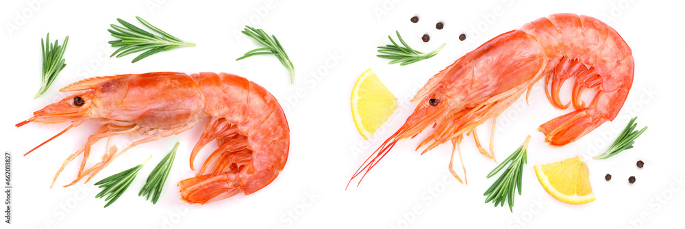 Red cooked prawn or shrimp with rosemary isolated on white background. Top view Red cooked prawn or shrimp with rosemary isolated on white background. Top view