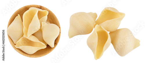 Conchiglioni italian pasta in wooden bowl isolated on white background. Top view. Flat lay