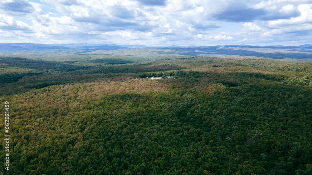 Fototapeta premium Forest view from above with drone. Perfect green tones of nature and forest. Dozens of kinds of trees, green forests. Forest view from drone.