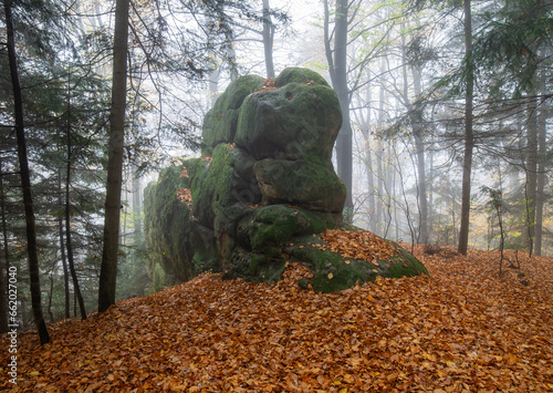 Fototapeta Naklejka Na Ścianę i Meble -  lonely rock in the autumn forest