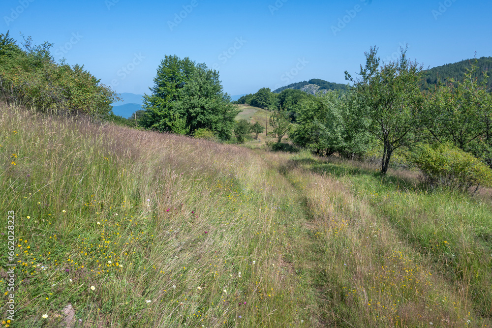 Landscape of Erul mountain near Kamenititsa peak, Bulgaria Landscape of Erul mountain near Kamenititsa peak, Bulgaria