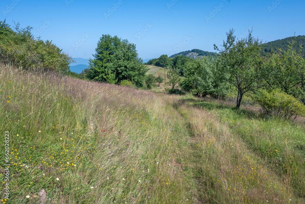 Landscape of Erul mountain near Kamenititsa peak, Bulgaria