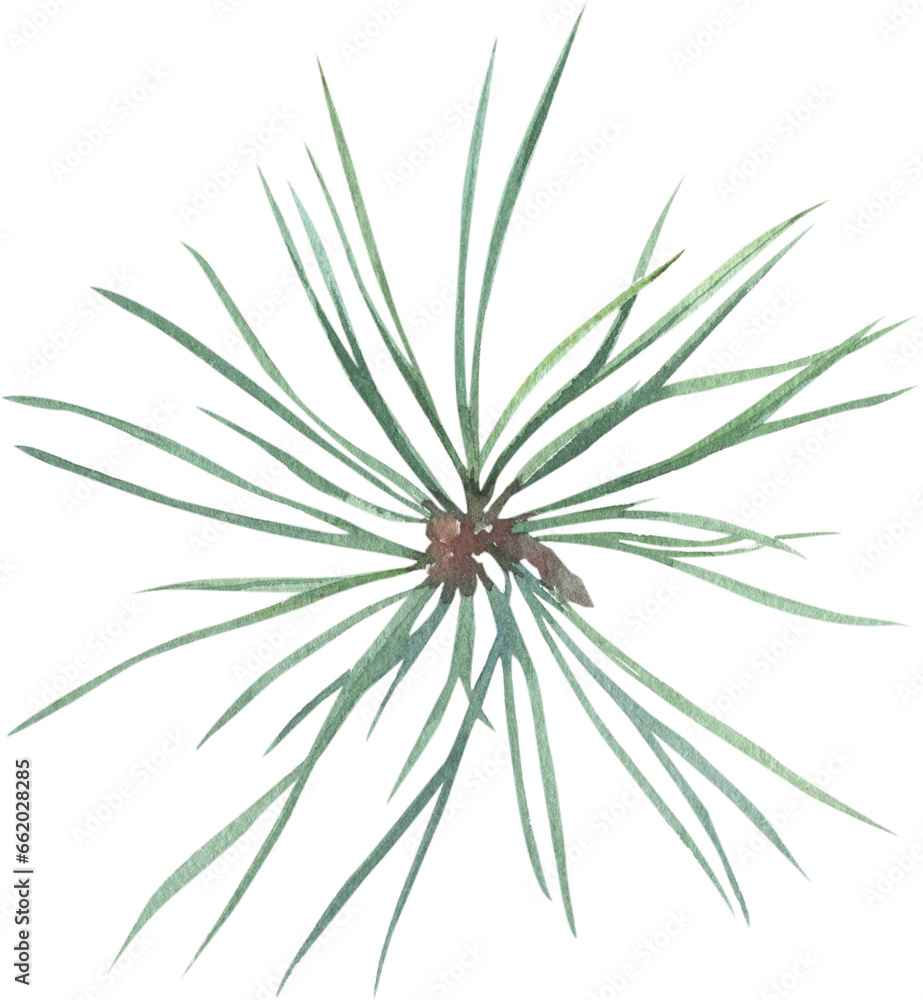 Green branches of a Christmas tree painted in watercolor. Green branches of a Christmas tree painted in watercolor.