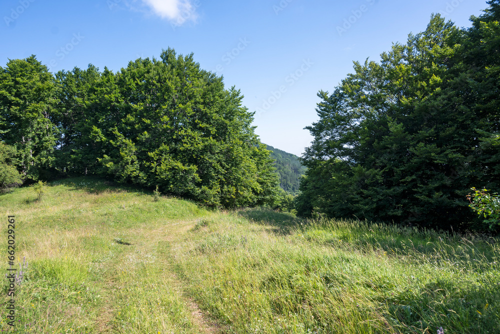 Landscape of Erul mountain near Kamenititsa peak, Bulgaria Landscape of Erul mountain near Kamenititsa peak, Bulgaria