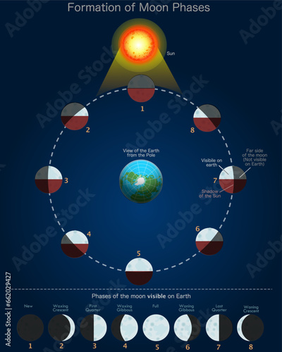 Moon phases formation. View earth from pole. New, first, last  quarter, full, waxing gibbous, secondary, crescent waning crescent. Lunar moves stage, visible from earth. Vector illustration