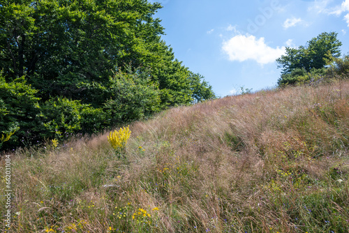 Landscape of Erul mountain near Kamenititsa peak, Bulgaria