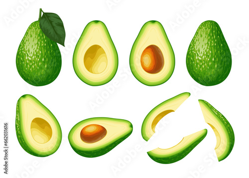 Avocado. Avocado set isolated on white background. Whole green avocado with leaf, cut into pieces.