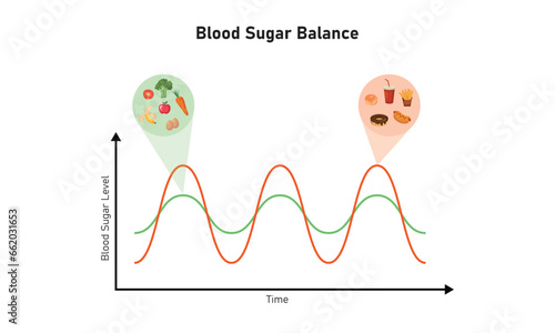 Blood Sugar Balance Graph Scientific Design. Vector Illustration.
