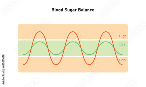 Blood Sugar Balance Graph Scientific Design. Vector Illustration.