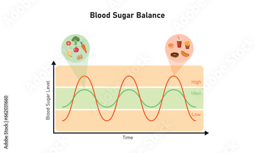 Blood Sugar Balance Graph Scientific Design. Vector Illustration.
