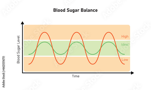 Blood Sugar Balance Graph Scientific Design. Vector Illustration.