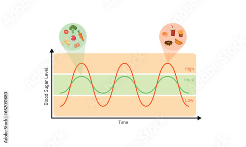 Blood Sugar Balance Graph Scientific Design. Vector Illustration.