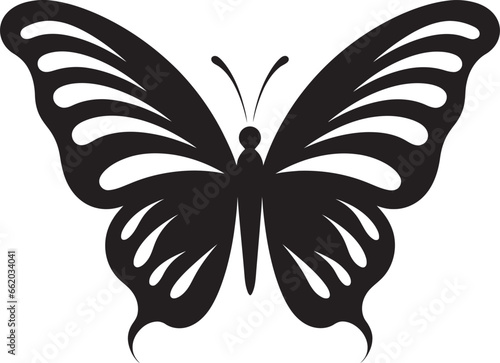 Butterfly Silhouette in Shadows A Work of Grace Intricate Beauty Black Butterfly Design © BABBAN