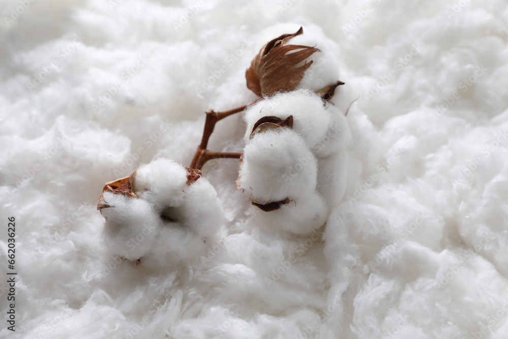 Closeup view of soft flowers on clean cotton Closeup view of soft flowers on clean cotton